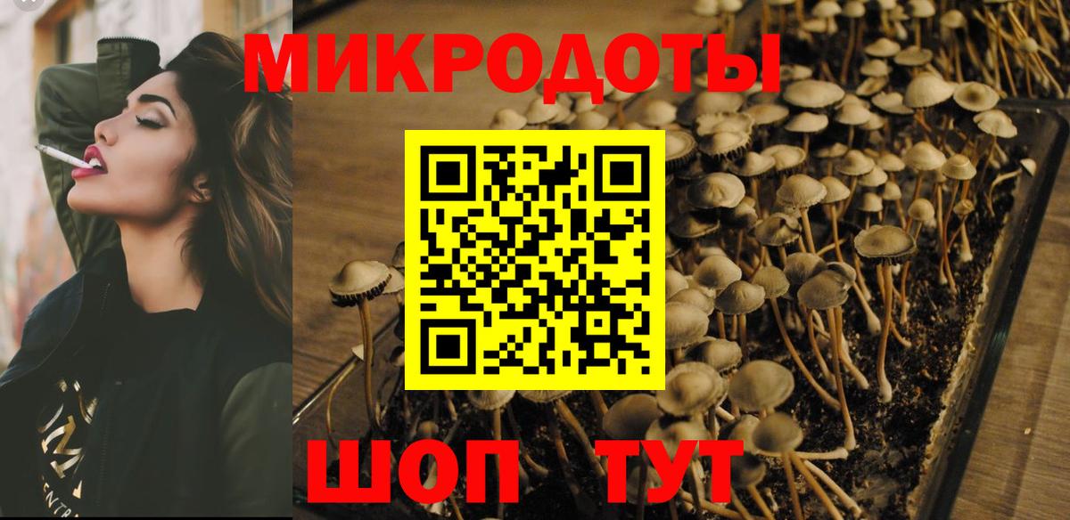 Россошь  Псилоцибиновые грибы Psilocybe  Вход с VPN 